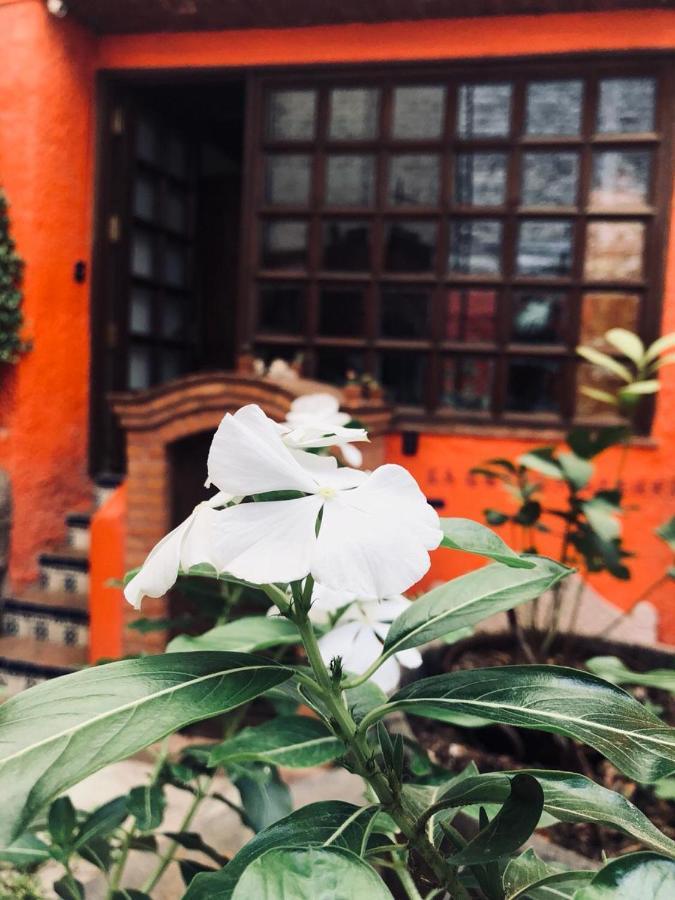Casa Azul Otel Guanajuato Dış mekan fotoğraf